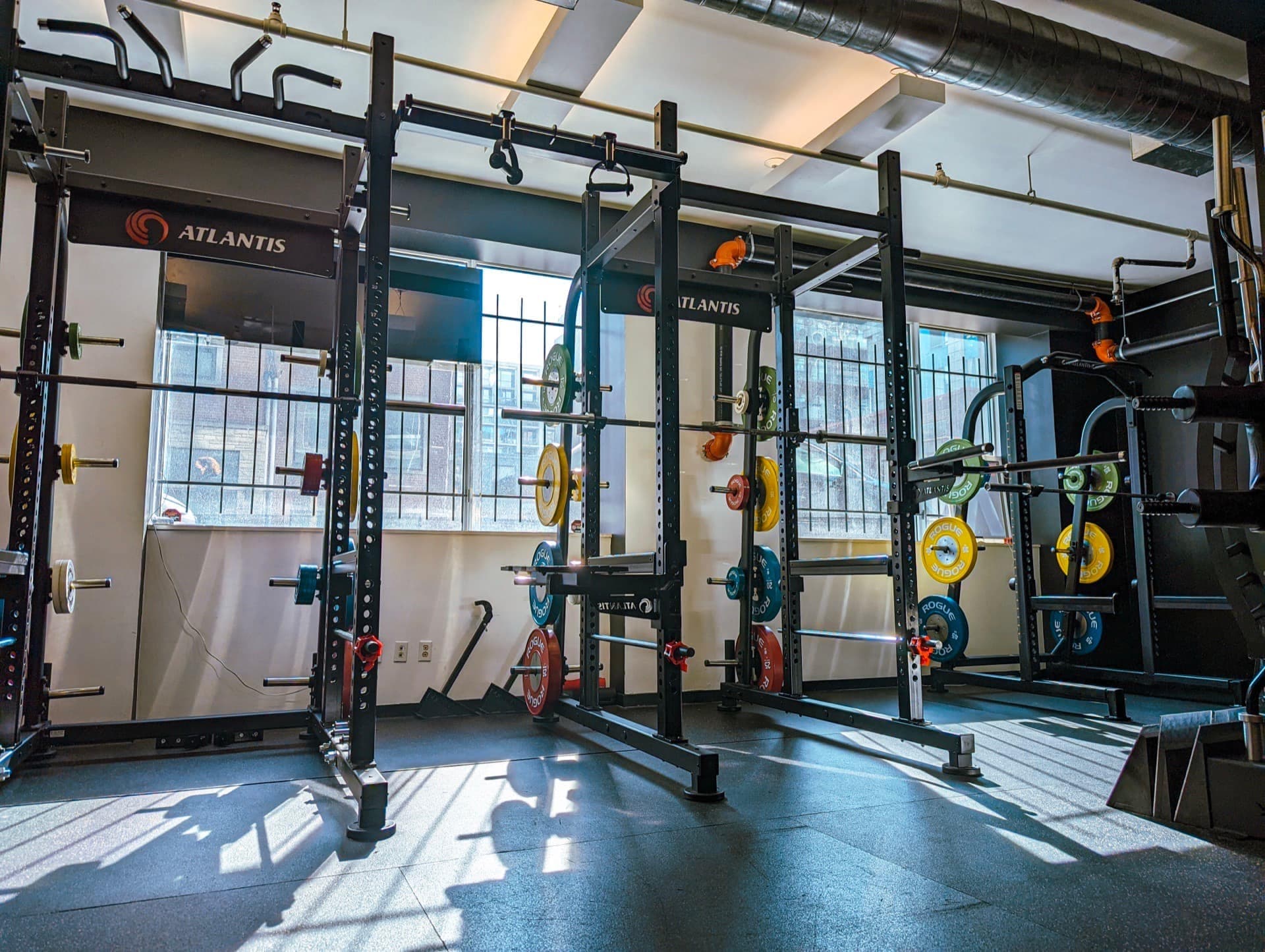 Full strength training room at Arzadon Fitness with Atlantis power racks and Rogue bumper plates, King West Toronto