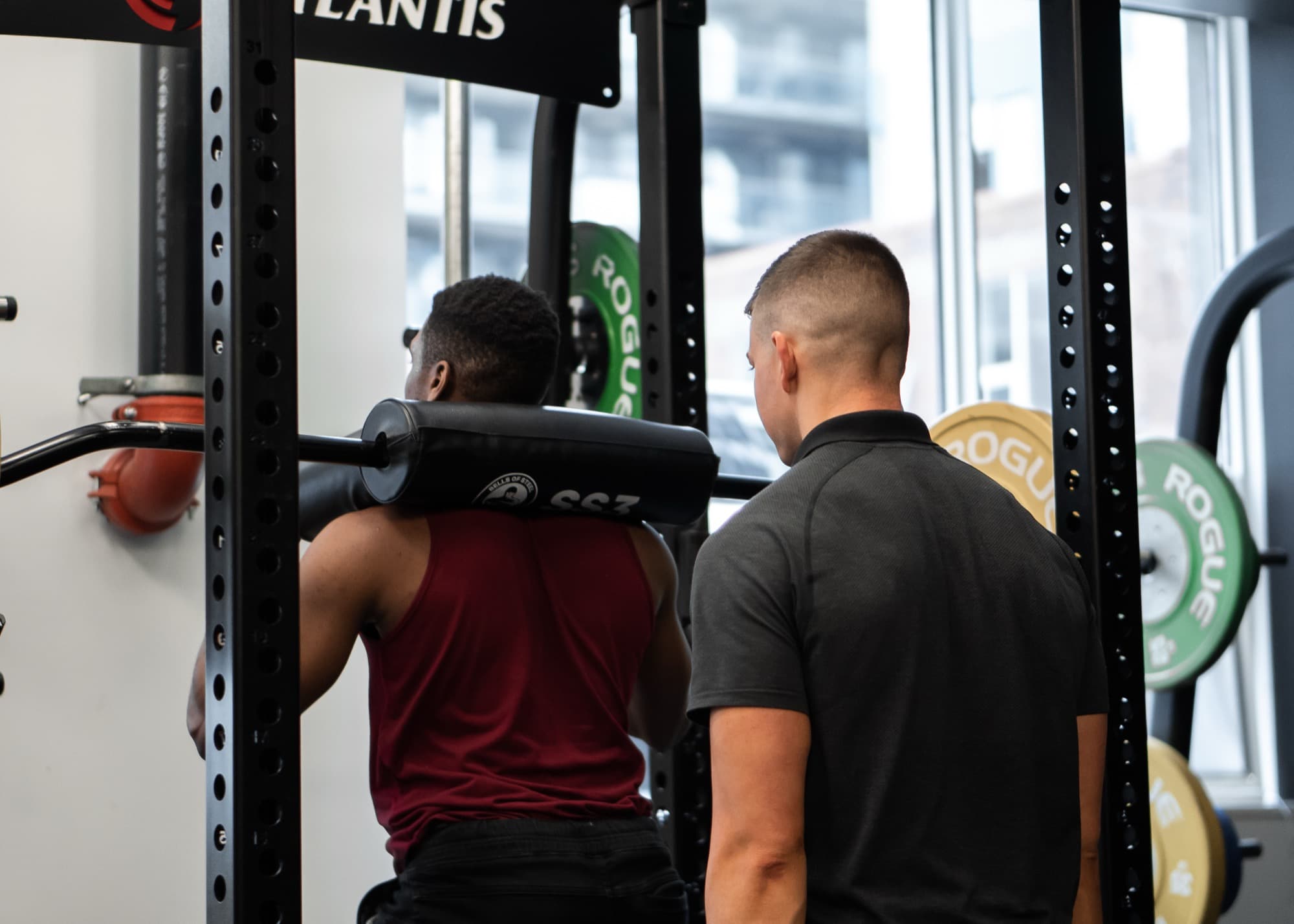 Arzadon Fitness training floor with premium equipment